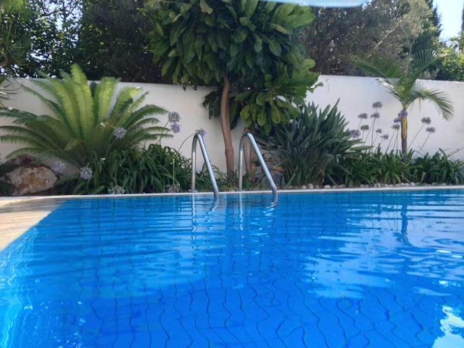 Villa Elloise Palermo Exterior photo